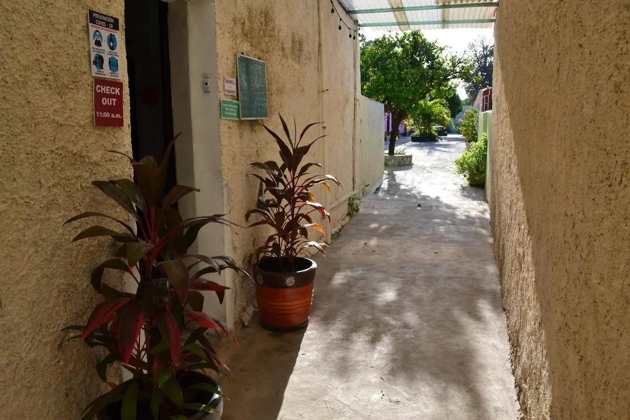 Casa Cuevas & Amaro Hotel Merida